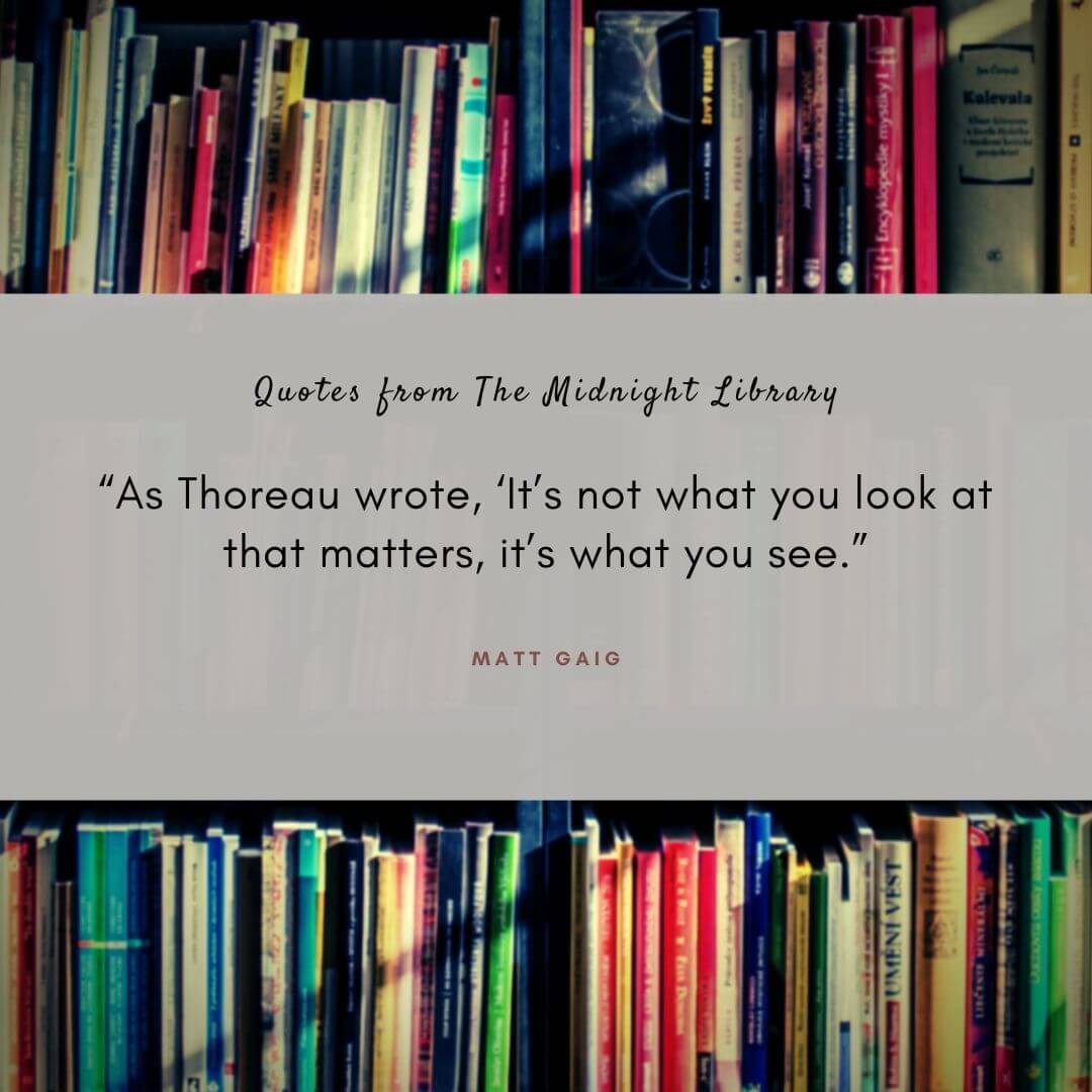 29 Best Midnight Library Quotes About Life, Regrets, Truth (Matt Haig)